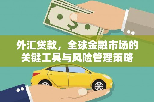 保靖外汇贷款，全球金融市场的关键工具与风险管理策略