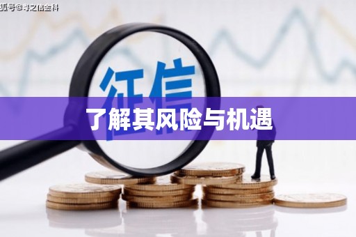 保靖了解其风险与机遇