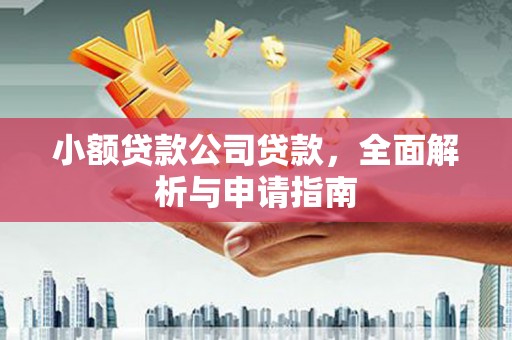 保靖小额贷款公司贷款，全面解析与申请指南