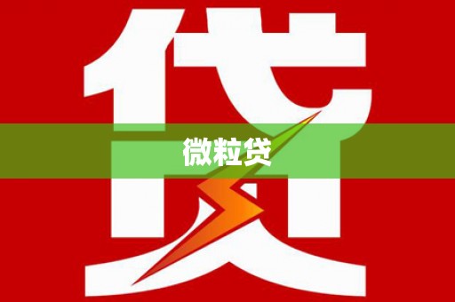 保靖微粒贷