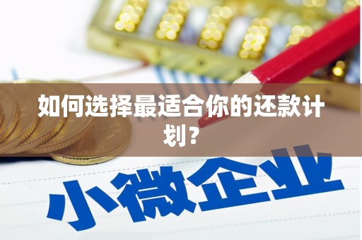 保靖如何选择最适合你的还款计划？