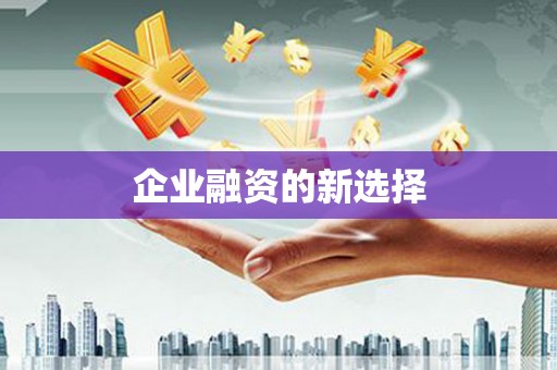 保靖企业融资的新选择