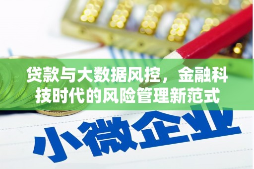 保靖贷款与大数据风控，金融科技时代的风险管理新范式