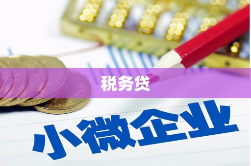 保靖税务贷