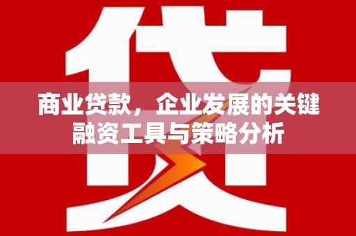 保靖商业贷款，企业发展的关键融资工具与策略分析