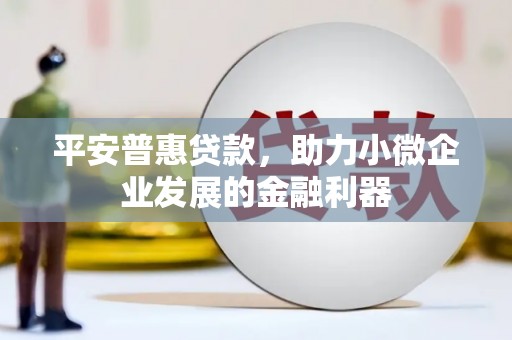 保靖平安普惠贷款，助力小微企业发展的金融利器