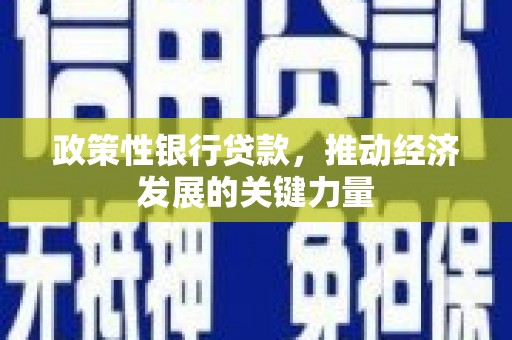 保靖政策性银行贷款，推动经济发展的关键力量