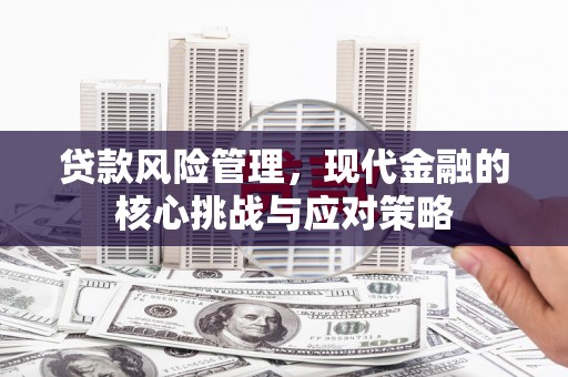 保靖贷款风险管理，现代金融的核心挑战与应对策略