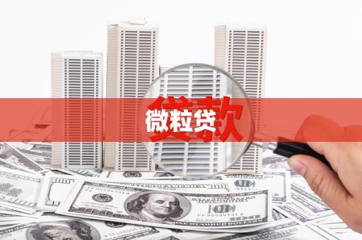 保靖微粒贷