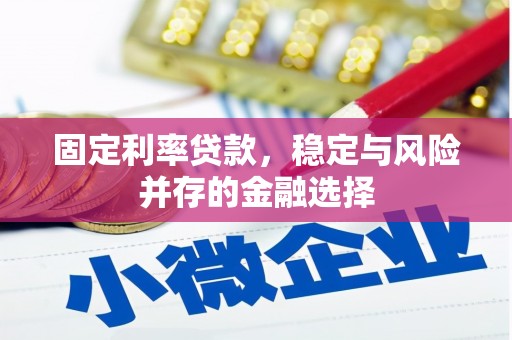 保靖固定利率贷款，稳定与风险并存的金融选择