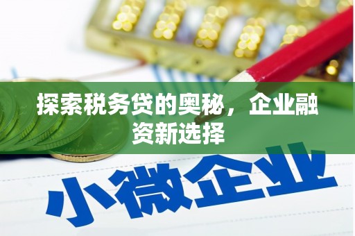 保靖探索税务贷的奥秘，企业融资新选择