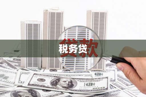 保靖税务贷