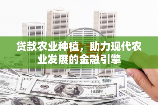 保靖贷款农业种植，助力现代农业发展的金融引擎