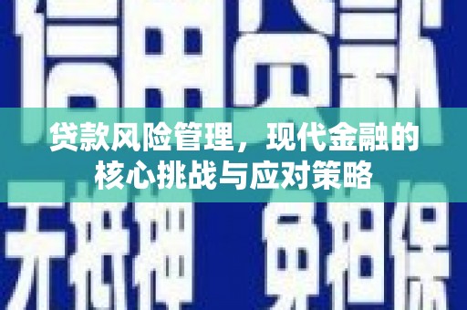 保靖贷款风险管理，现代金融的核心挑战与应对策略