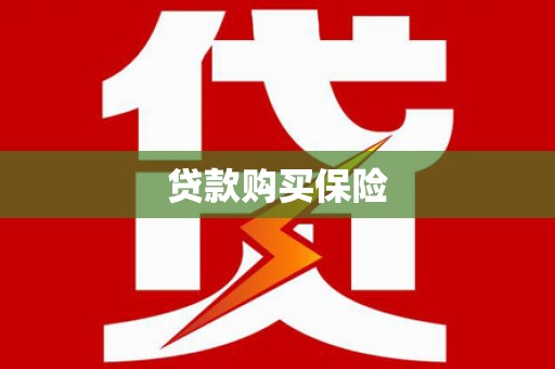 保靖贷款购买保险