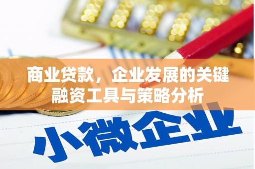 保靖商业贷款，企业发展的关键融资工具与策略分析