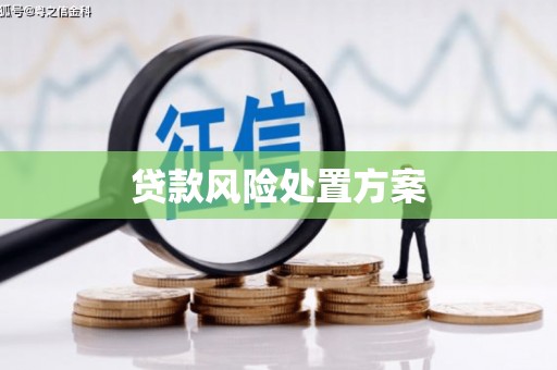 保靖贷款风险处置方案