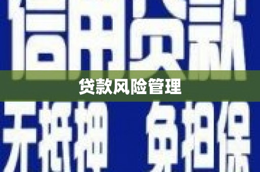 保靖贷款风险管理