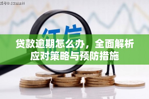 保靖贷款逾期怎么办，全面解析应对策略与预防措施