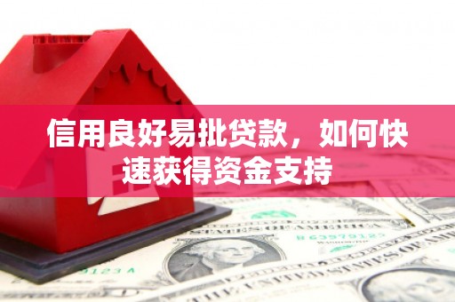 保靖信用良好易批贷款，如何快速获得资金支持