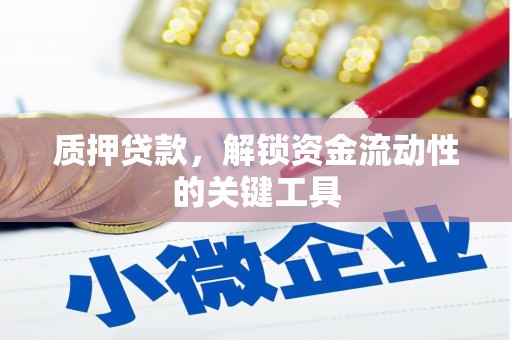 保靖质押贷款，解锁资金流动性的关键工具