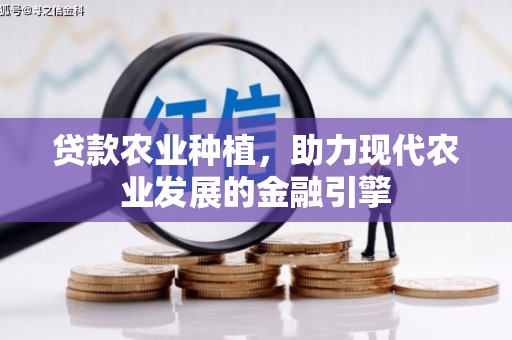 保靖贷款农业种植，助力现代农业发展的金融引擎