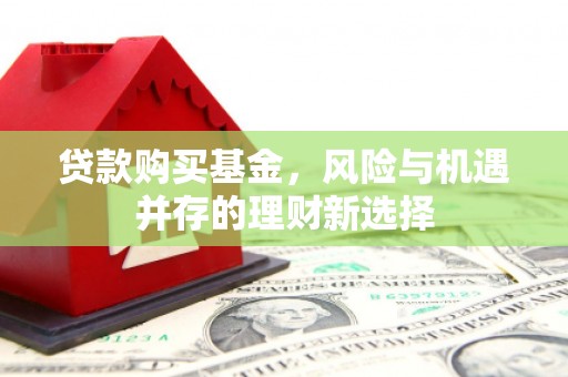 保靖贷款购买基金，风险与机遇并存的理财新选择
