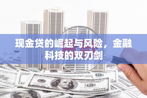 保靖现金贷的崛起与风险，金融科技的双刃剑