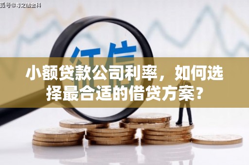 保靖小额贷款公司利率，如何选择最合适的借贷方案？