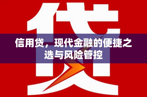 保靖信用贷，现代金融的便捷之选与风险管控