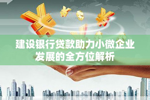 保靖建设银行贷款助力小微企业发展的全方位解析