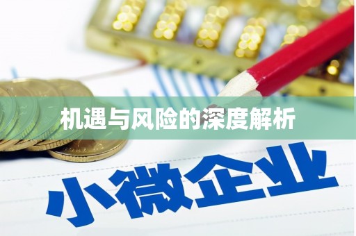 保靖机遇与风险的深度解析