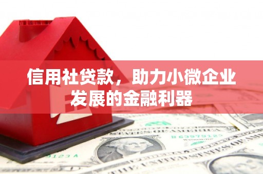 保靖信用社贷款，助力小微企业发展的金融利器