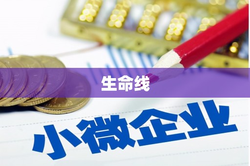 保靖生命线