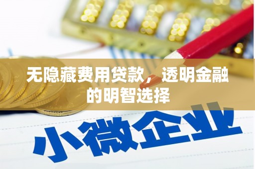 保靖无隐藏费用贷款，透明金融的明智选择