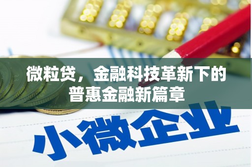 保靖微粒贷，金融科技革新下的普惠金融新篇章