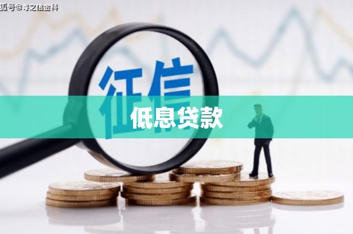 保靖低息贷款