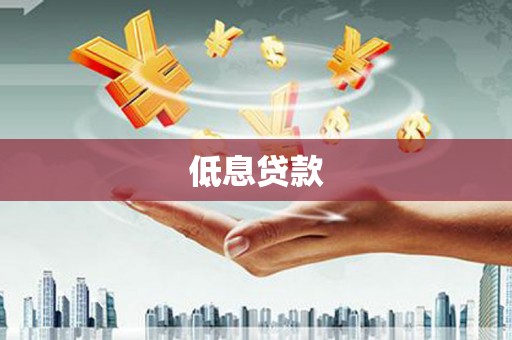 保靖低息贷款