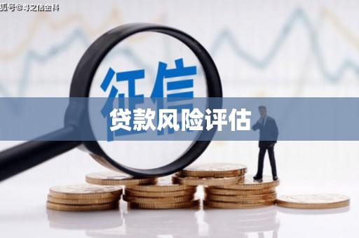 保靖贷款风险评估