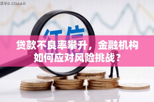 保靖贷款不良率攀升，金融机构如何应对风险挑战？