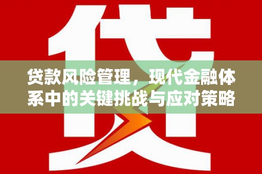 保靖贷款风险管理，现代金融体系中的关键挑战与应对策略