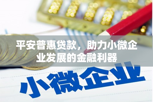 保靖平安普惠贷款，助力小微企业发展的金融利器