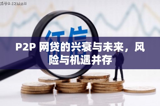 保靖P2P 网贷的兴衰与未来，风险与机遇并存